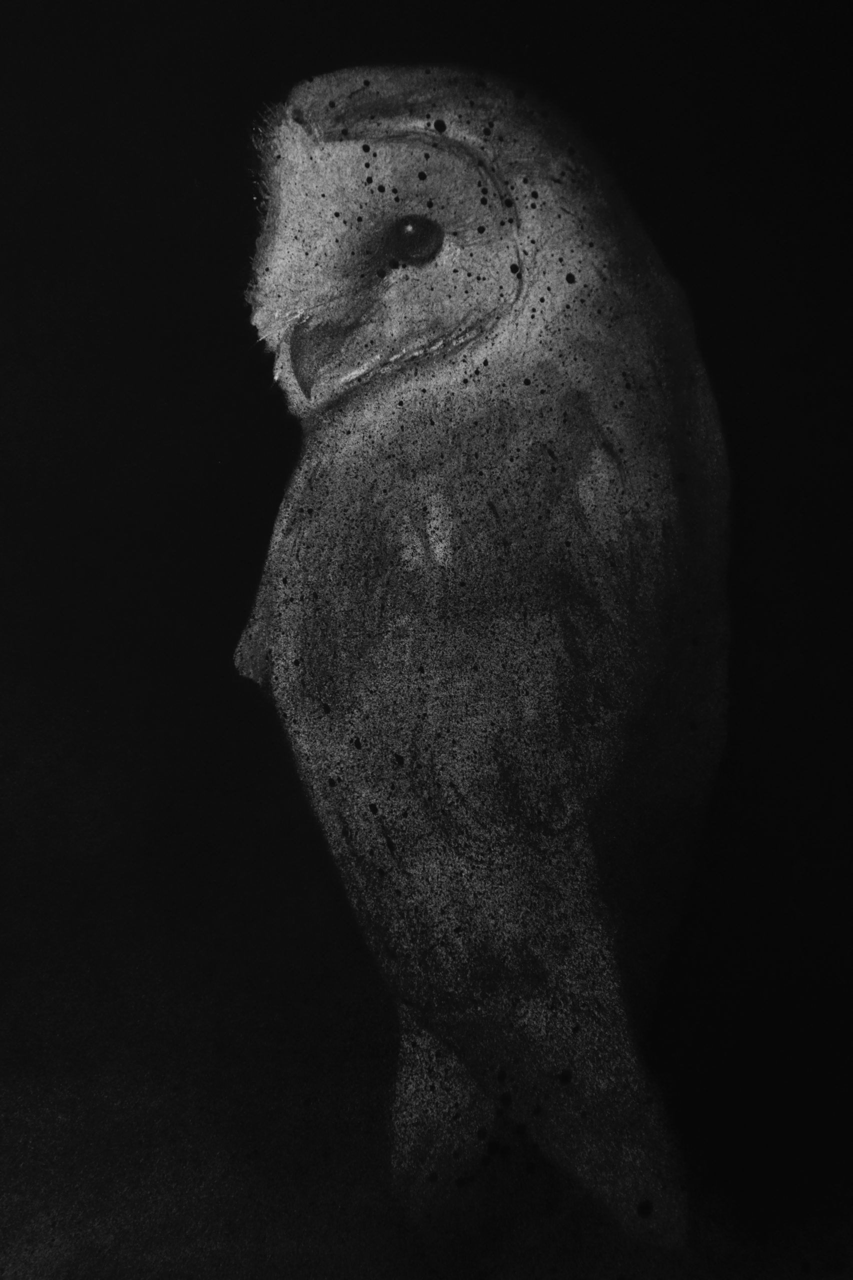 El silencio de las alas. Ni un día sin dibujar - Imagen 2