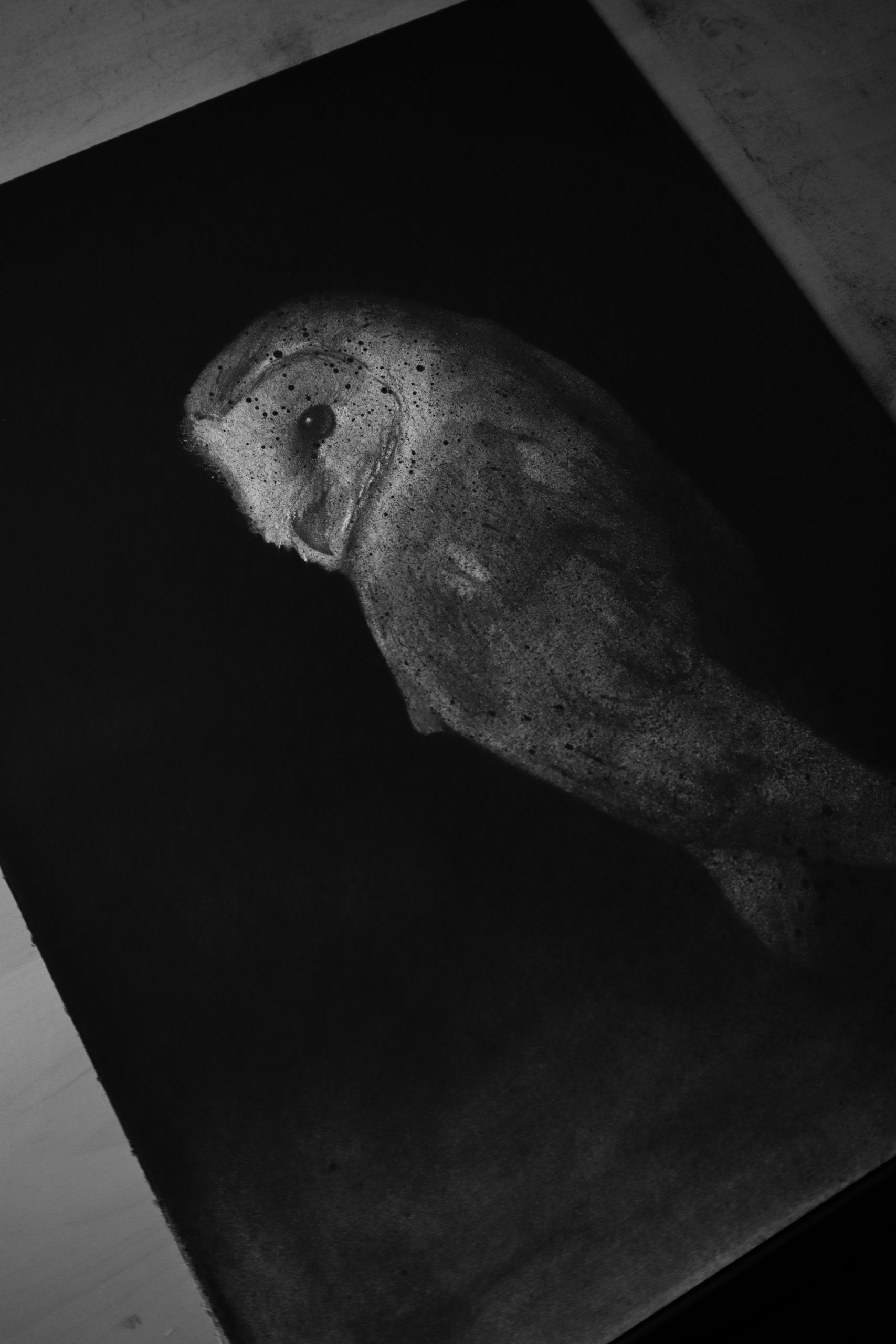 El silencio de las alas. Ni un día sin dibujar - Imagen 4