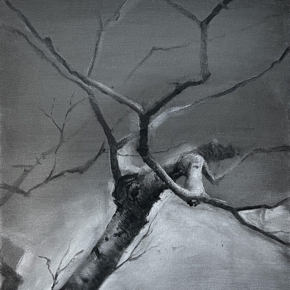 Esencia del bosque. Obra de arte contemporáneo