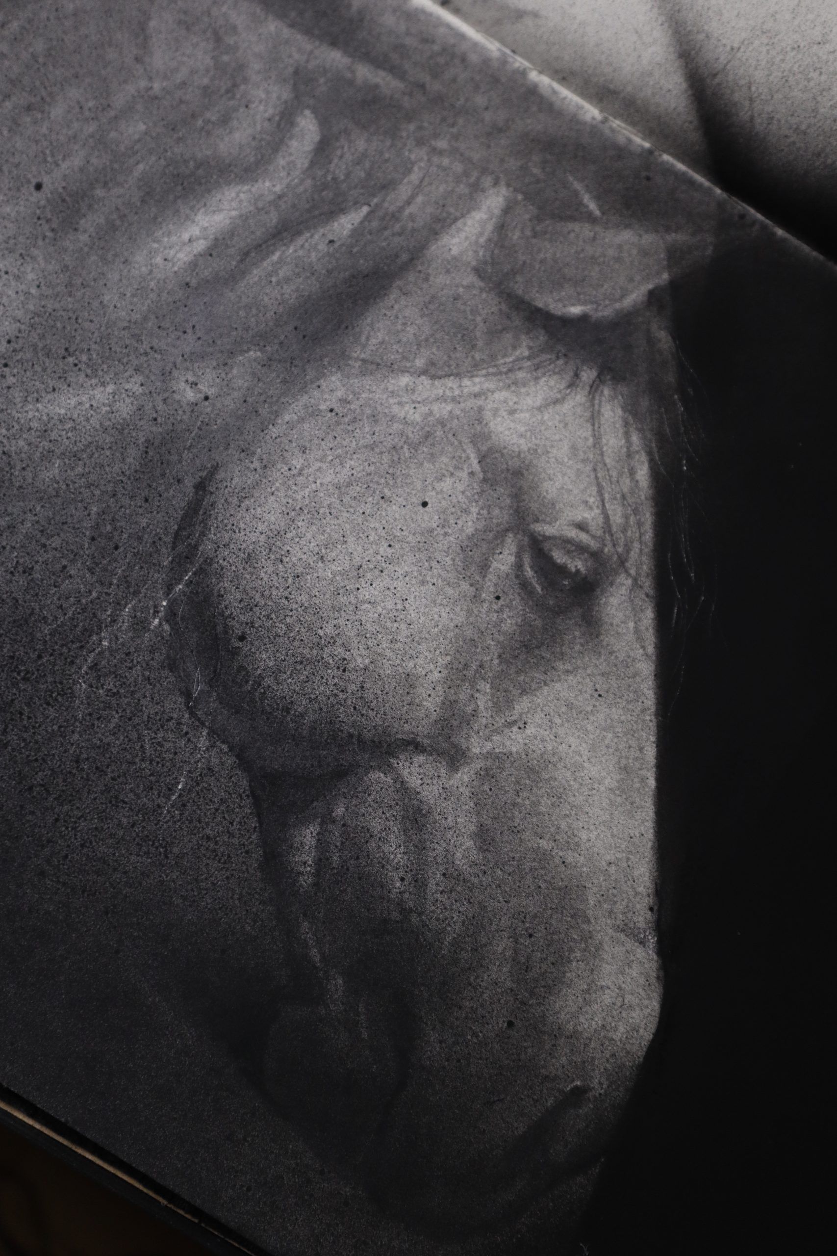 Susurros de melancolía. Ni un día sin dibujar - Imagen 3