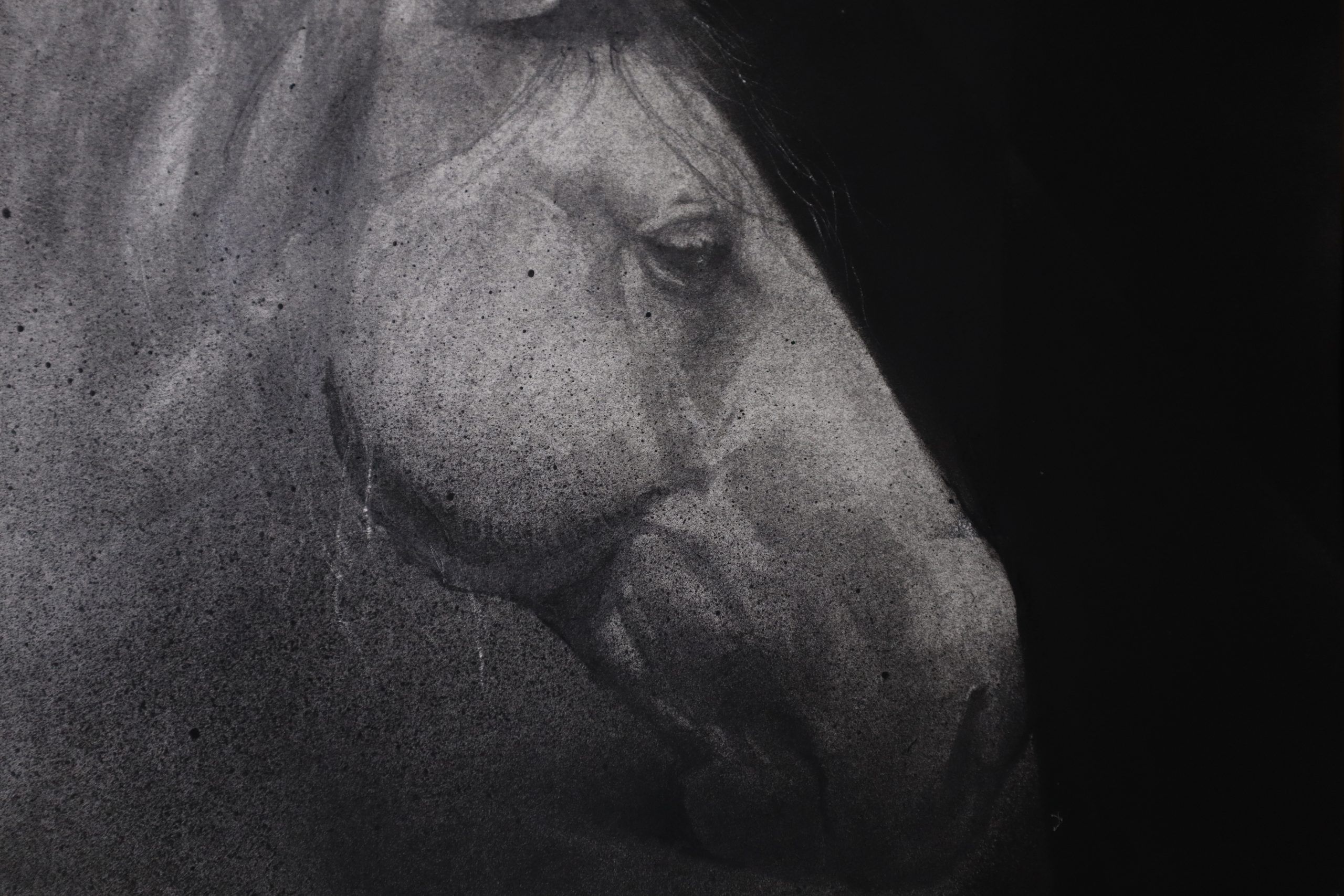 Susurros de melancolía. Ni un día sin dibujar - Imagen 4