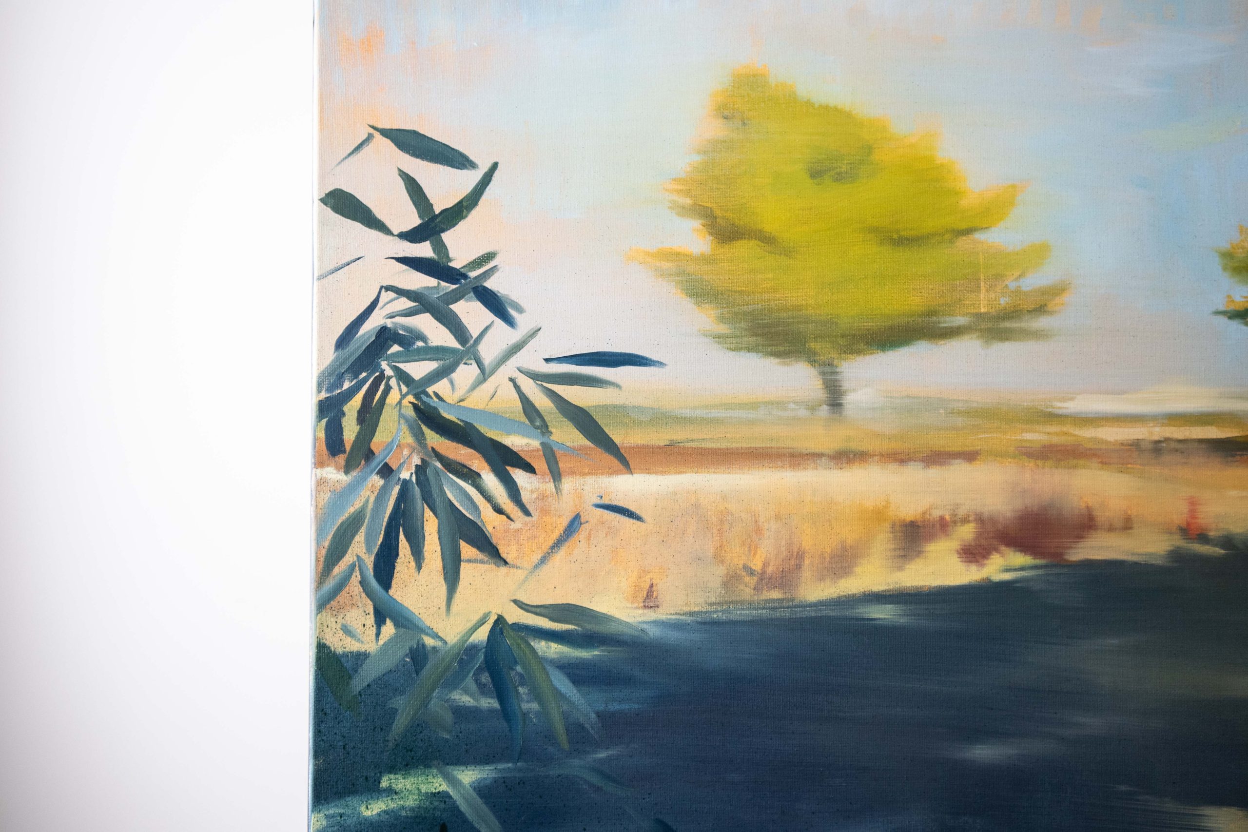 Membrilla - Imagen 4